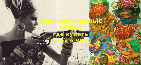 прущий лед Верея