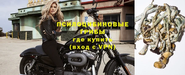 прущий лед Верея